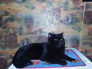 click for enlarge 640 X 480 143.6 Kb picture