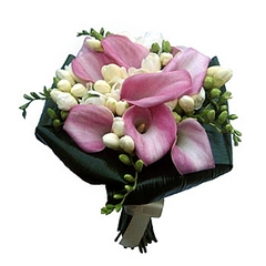 click for enlarge 350 X 350 47.6 Kb picture