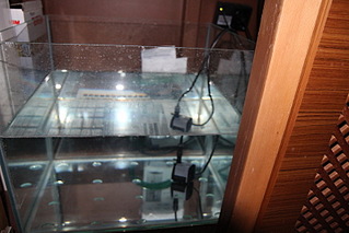 click for enlarge 800 X 533 144.0 Kb picture