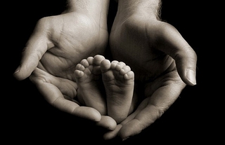 click for enlarge 570 X 369  62.8 Kb picture