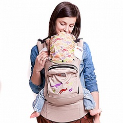 click for enlarge 325 X 325 39.2 Kb picture