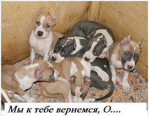 click for enlarge 500 X 390  35.1 Kb picture