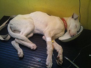 click for enlarge 1280 X 960 151.9 Kb picture