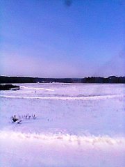 click for enlarge 480 X 640  41.6 Kb picture