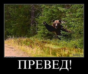 click for enlarge 500 X 421  57.4 Kb picture