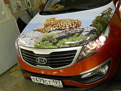 click for enlarge 1600 X 1200 227.6 Kb picture