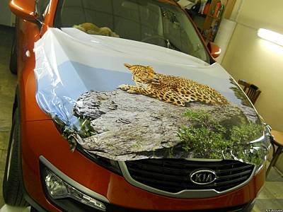 click for enlarge 1600 X 1200 192.9 Kb picture