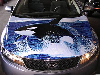 click for enlarge 1600 X 1200 237.9 Kb picture