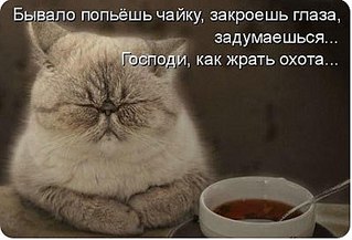 click for enlarge 400 X 272  23.7 Kb picture