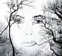 click for enlarge 610 X 553 117.8 Kb picture