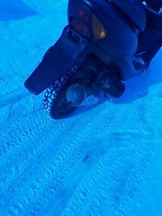 click for enlarge 300 X 400  24.6 Kb picture