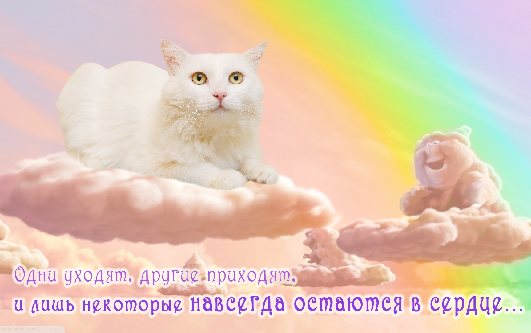 Кошка ушла на радугу картинка