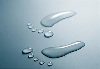 click for enlarge 560 X 390  16.9 Kb picture