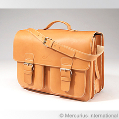 click for enlarge 350 X 350 74.5 Kb picture