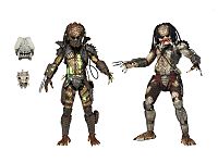 click for enlarge 800 X 600 72.3 Kb picture