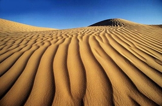 click for enlarge 550 X 362 107.9 Kb picture