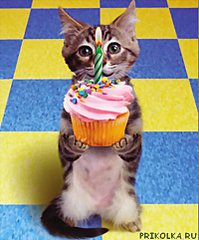 click for enlarge 400 X 482 38.5 Kb picture