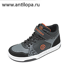 click for enlarge 350 X 350 44.6 Kb picture