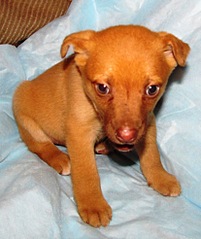 click for enlarge 827 X 983 186.2 Kb picture