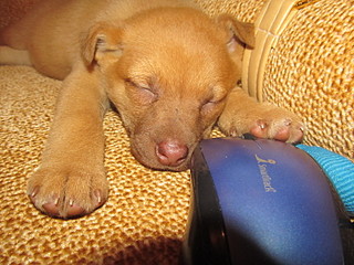 click for enlarge 1600 X 1200 644.4 Kb picture