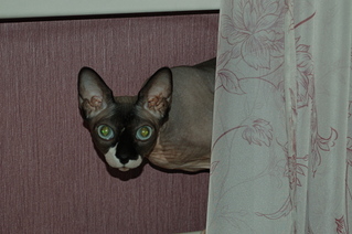 click for enlarge 1920 X 1276 999.2 Kb picture