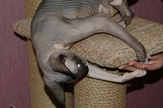 click for enlarge 1920 X 1276 167.1 Kb picture