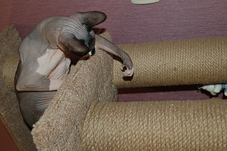 click for enlarge 1920 X 1276 206.9 Kb picture