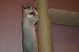 click for enlarge 1920 X 1276 229.7 Kb picture