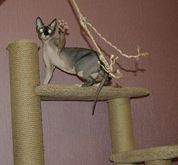 click for enlarge 1920 X 1776 386.4 Kb picture