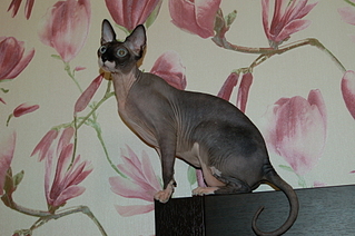 click for enlarge 1920 X 1276 162.2 Kb picture