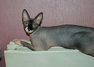 click for enlarge 1920 X 1375 369.1 Kb picture