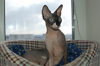 click for enlarge 1920 X 1276 140.1 Kb picture