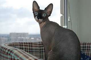 click for enlarge 1920 X 1276 137.4 Kb picture