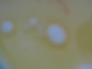 click for enlarge 1600 X 1200 298.4 Kb picture