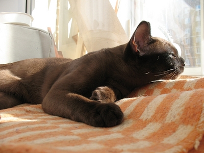 click for enlarge 780 X 585 290.7 Kb picture
