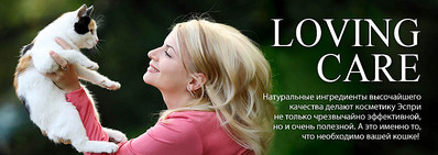 click for enlarge 795 X 282 78.8 Kb picture