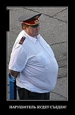 click for enlarge 313 X 480  25.7 Kb picture