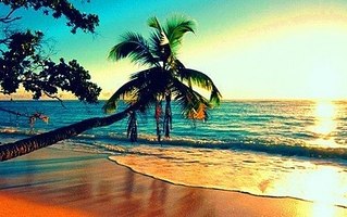 click for enlarge 500 X 313 46.5 Kb picture