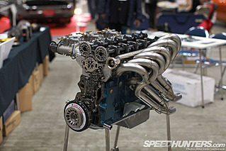 click for enlarge 800 X 533 120.0 Kb picture