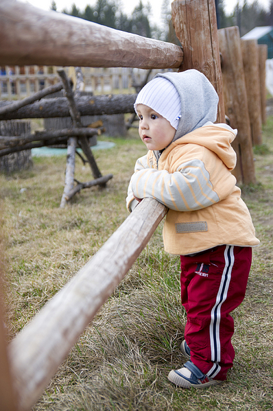 click for enlarge 664 X 1000 612.4 Kb picture