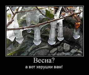click for enlarge 560 X 470 28.2 Kb picture