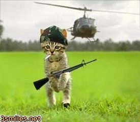 click for enlarge 550 X 479 27.0 Kb picture