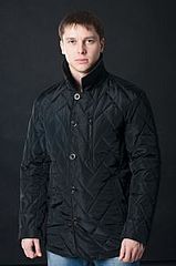 click for enlarge 199 X 300 8.2 Kb picture