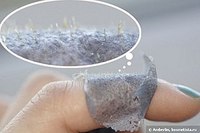 click for enlarge 320 X 213 12.5 Kb picture