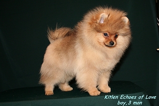 click for enlarge 1036 X 691 491.7 Kb picture