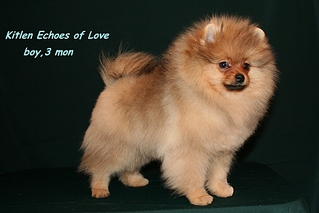 click for enlarge 1036 X 691 482.6 Kb picture