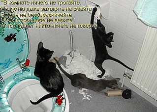 click for enlarge 640 X 457 67.6 Kb picture