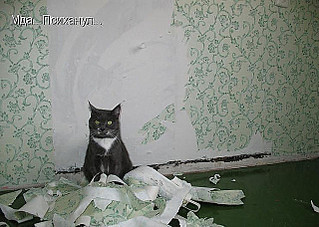 click for enlarge 640 X 455 64.7 Kb picture