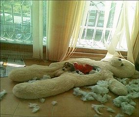 click for enlarge 450 X 379 30.9 Kb picture
