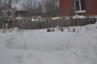 click for enlarge 1920 X 1275 651.6 Kb picture